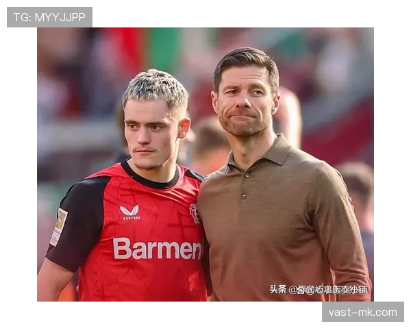 维尔茨技术特点