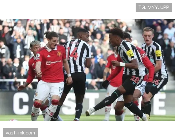 英超布莱顿崛起 英超布莱顿崛起