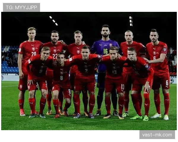 维尔茨 vs 厄德高:组织型核心效率对比 维尔茨 vs 厄德高:组织型核心效率对比